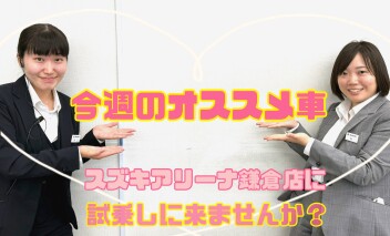 今週のおすすめのご紹介です！！
